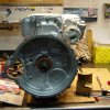 Innocenti