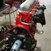 B18A_Amazone